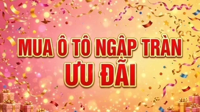 Địa điểm hỗ trợ xem xe tại Bạc Liêu